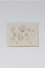 Load image into Gallery viewer, Shells Greeting Card