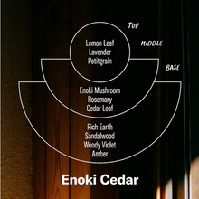 Load image into Gallery viewer, Enoki Cedar - Alchemy Incense Cones