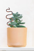 Load image into Gallery viewer, Plant Snake Stake - Large