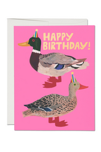 Quacky Birthday Card