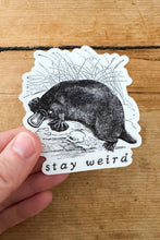 Load image into Gallery viewer, Stay Weird Sticker