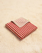 Load image into Gallery viewer, Ladybug Stripe Cotton Terry Bath Towel