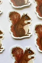 Load image into Gallery viewer, Handsome Squirrel Sticker