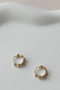 Esagio Hoop Earings