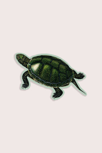 Total Turtle - Gap Filler Sticker