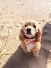 Load image into Gallery viewer, Quilt Bandana