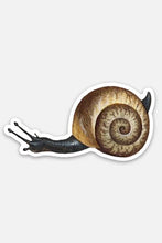 Load image into Gallery viewer, Apathetic Snail - Gap Filler Sticker