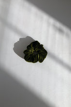 Load image into Gallery viewer, Silk Velvet Scrunchies