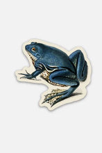 Load image into Gallery viewer, Exasperated Frog - Gap Filler Sticker
