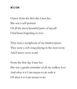 What We Must Have Meant Poetry Book