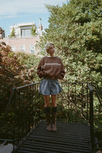 Load image into Gallery viewer, I Can&#39;t Believe It&#39;s Not Vintage Cewneck - Brown Stripe