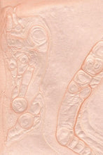 Load image into Gallery viewer, Bkind Non-Toxic Nail Polish - Satin