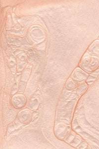 Bkind Non-Toxic Nail Polish - Satin