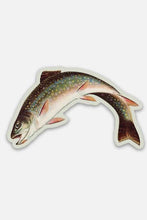Load image into Gallery viewer, Scandalized Rainbow Trout - Gap Filler Sticker