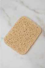 Load image into Gallery viewer, Noodle Bar Safe - Soap Holder