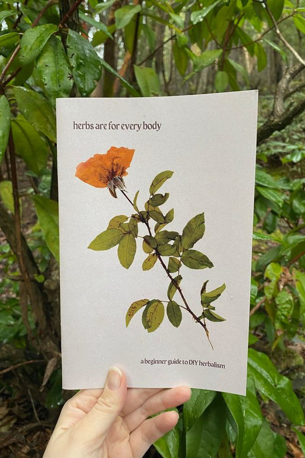 Herbs Are For Every Body Zine