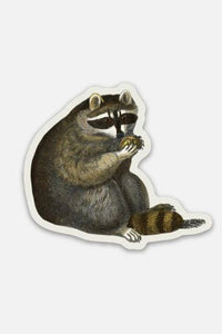 Unbothered Raccoon - Gap Filler Sticker