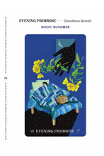 Load image into Gallery viewer, Dirt Gems Oracle Deck