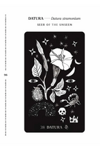 Load image into Gallery viewer, Dirt Gems Oracle Deck