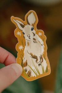 Meadow Bunny Sticker