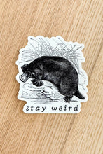 Load image into Gallery viewer, Stay Weird Sticker