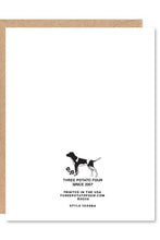 Load image into Gallery viewer, Special Day Duck Greeting Card