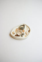 Load image into Gallery viewer, Seashell Jewelry Dish - Small
