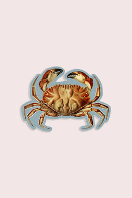 Cheeky Crab - Gap Filler Sticker
