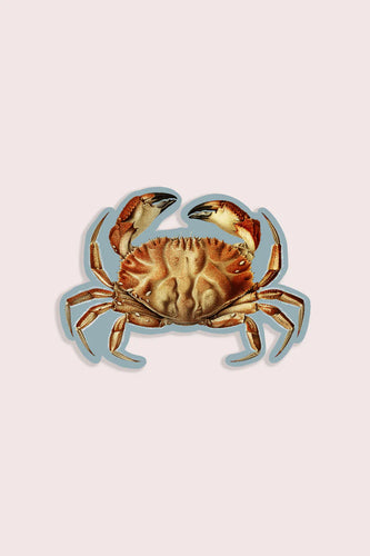 Cheeky Crab - Gap Filler Sticker