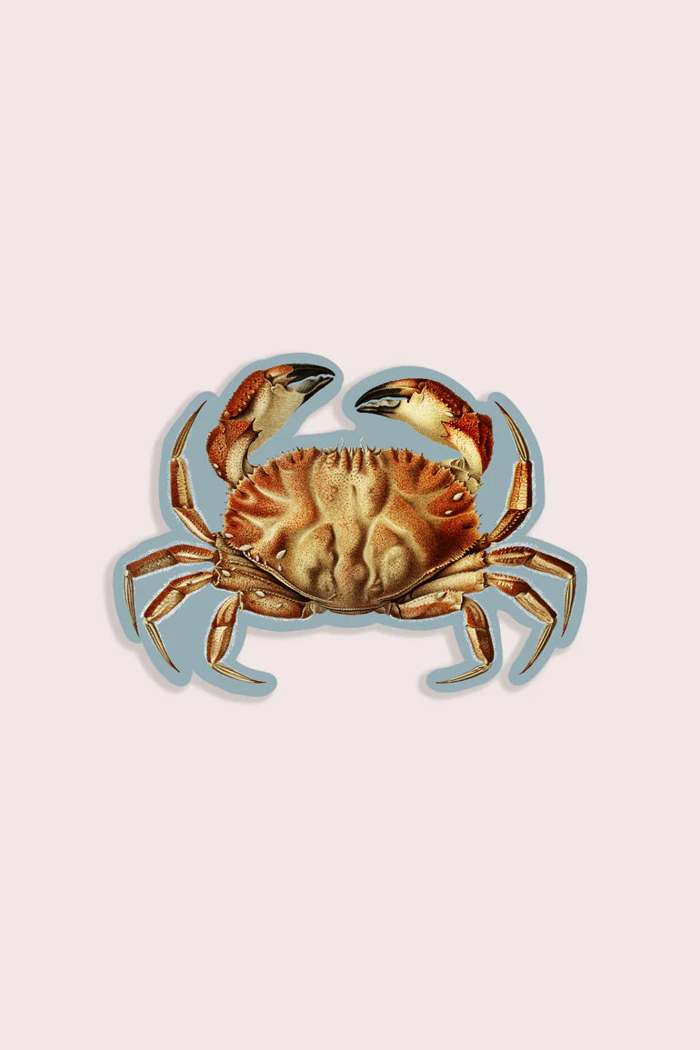 Cheeky Crab - Gap Filler Sticker