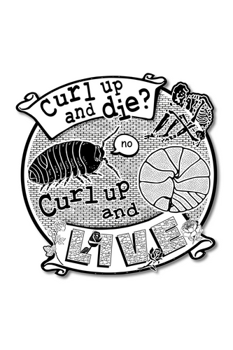 Curl Up Sticker