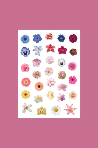 Flower Sticker Sheet