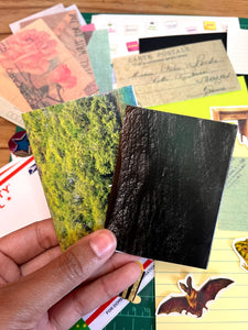 Zine Junk - DIY Scrap Kit