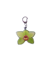 Load image into Gallery viewer, Picto-charm™ Keychain