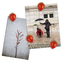Load image into Gallery viewer, Strawberry Magnets Set of 4