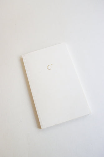 Day Journal - Display Model/Flawed