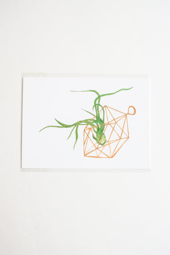Small Air Plant Print - Donated for Fundraiser
