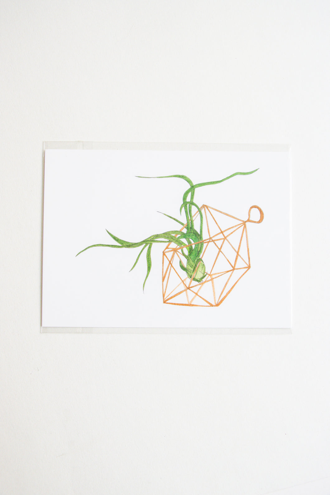 Small Air Plant Print - Donated for Fundraiser