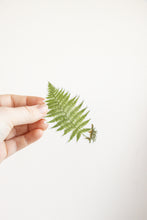 Load image into Gallery viewer, Lady Fern Sticker