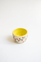 Load image into Gallery viewer, Mini Tomato Pot