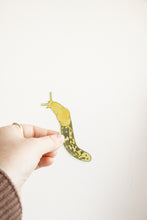 Load image into Gallery viewer, Banana Slug Sticker