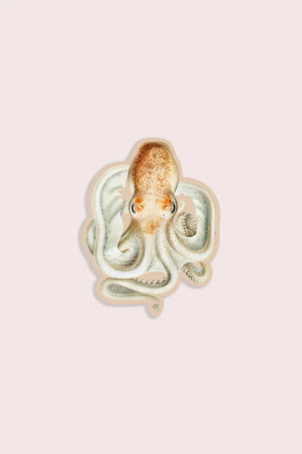 Intense Octopus - Gap Filler Sticker