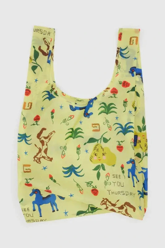 Standard Baggu - Painted Prairie