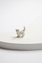 Load image into Gallery viewer, Pocket Pet Cat