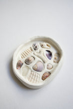 Load image into Gallery viewer, Seashell Jewelry Dish - Large