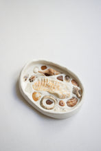 Load image into Gallery viewer, Seashell Jewelry Dish - Large