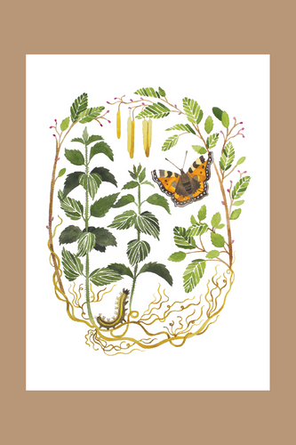 Botanical Butterfly Art Print