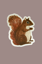 Load image into Gallery viewer, Handsome Squirrel Sticker