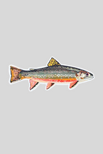 Load image into Gallery viewer, Brook Trout Sticker