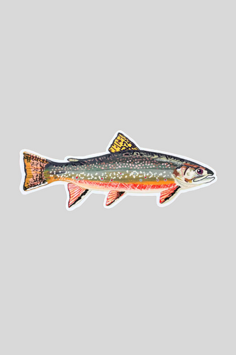 Brook Trout Sticker